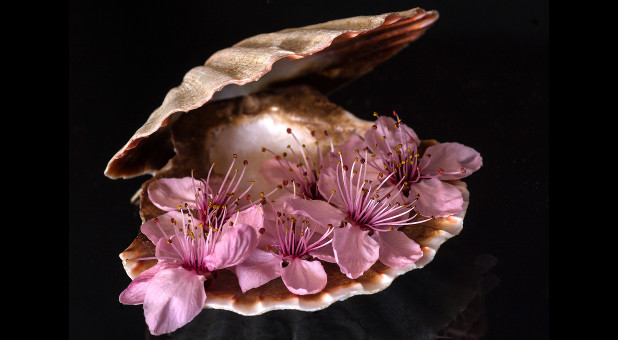 The Benefits of Being Hurt