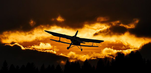 Why do we avoid taking risks?